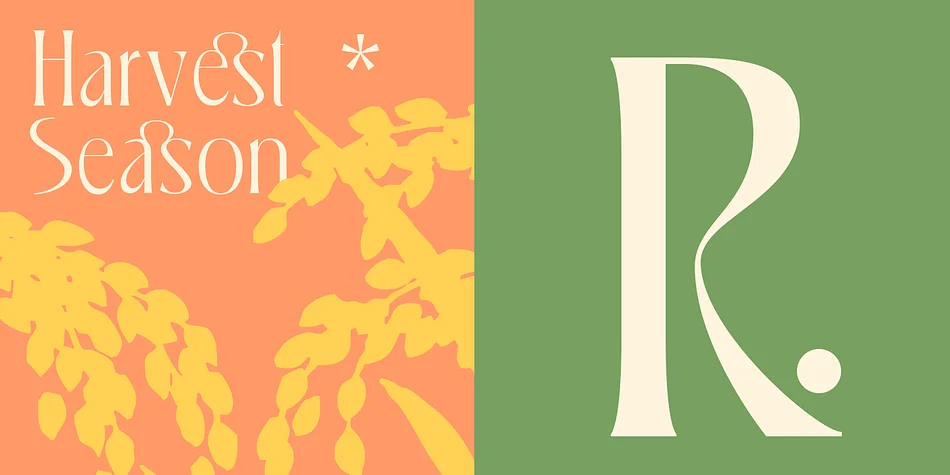 Cajoles by Dharmas Studio — Decorative Font — thumbnail 7