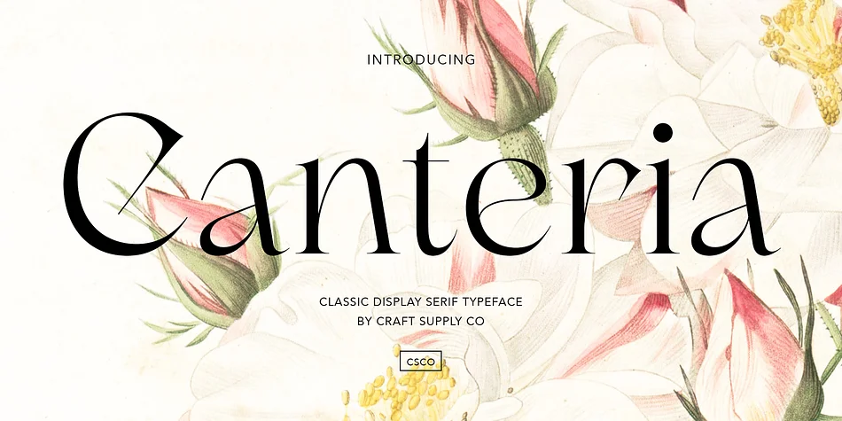 Canteria by Craft Supply Co. — Decorative Font