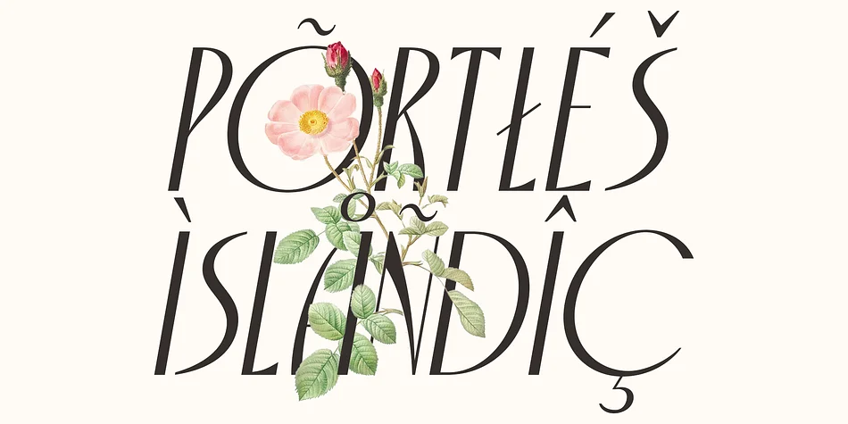 Capires by Craft Supply Co. — Decorative Font — thumbnail 5