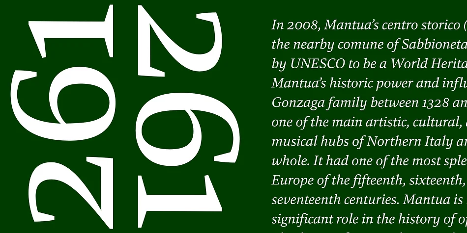 Carat Nova by Hoftype — Display Font — thumbnail 9