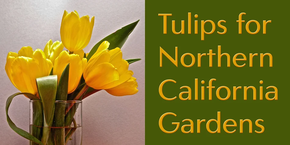 Carisma by CastleType — Display Font — thumbnail 6