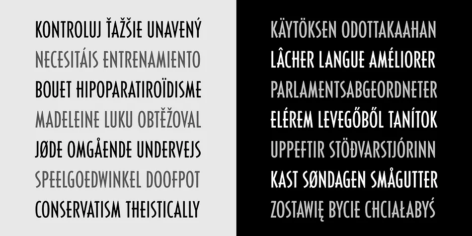 Carlos by CastleType — Display Font — thumbnail 9