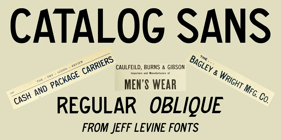 Catalog Sans JNL by Jeff Levine Fonts — Display Font