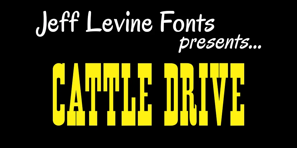CATTLE DRIVE JNL by Jeff Levine Fonts — Decorative Font