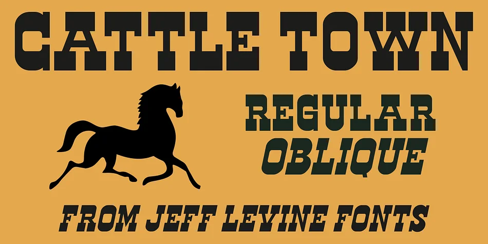 CATTLE TOWN JNL by Jeff Levine Fonts — Decorative Font