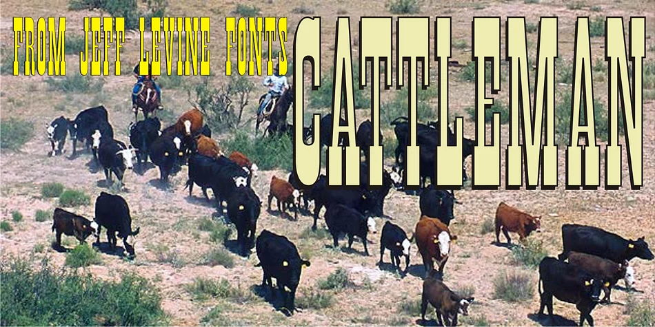CATTLEMAN JNL by Jeff Levine Fonts — Decorative Font