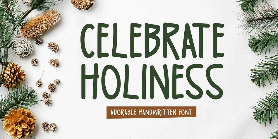 CELEBRATE HOLINESS by Seemly Fonts — Decorative Font
