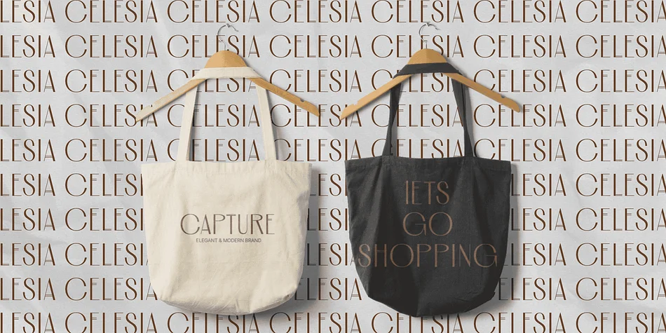 Celesia by Craft Supply Co. — Decorative Font — thumbnail 5