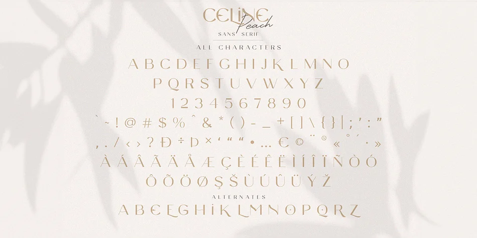Celine Peach by Craft Supply Co. — Display Font — thumbnail 5