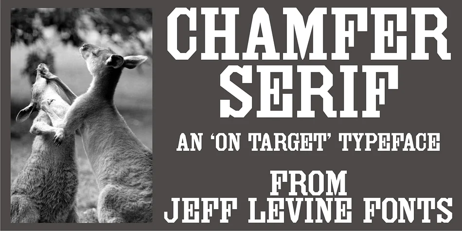 CHAMFER SERIF JNL by Jeff Levine Fonts — Decorative Font