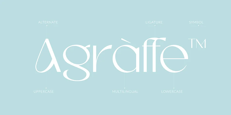 Chaste by roomspace — Display Font — thumbnail 2