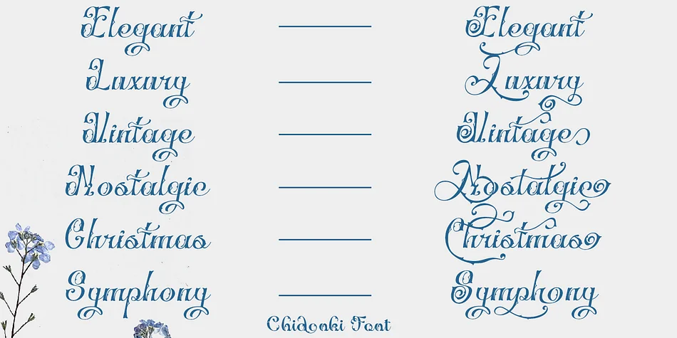 Chidonki by TypeClassHeroes — Decorative Font — thumbnail 3