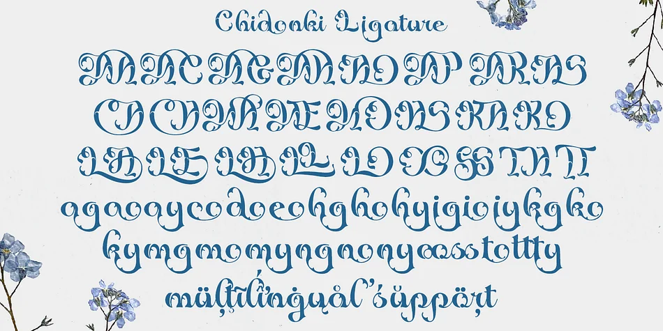 Chidonki by TypeClassHeroes — Decorative Font — thumbnail 9