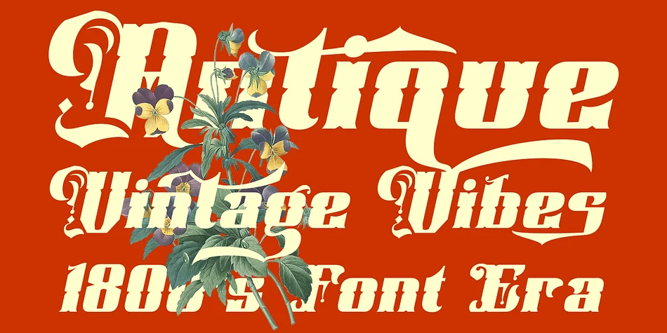 Cleffordy by TypeClassHeroes — Decorative Font — thumbnail 2