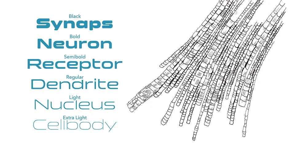 Clonoid by Dharma Type — Display Font — thumbnail 5