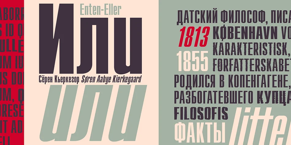 Compakt by ParaType — Display Font — thumbnail 2