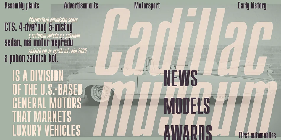 Compakt by ParaType — Display Font — thumbnail 4