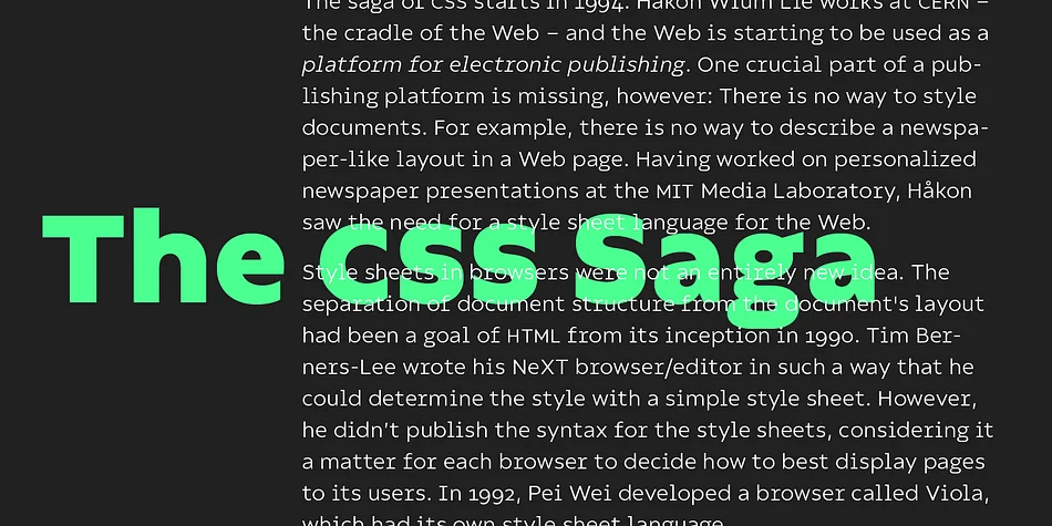 Compiler by Identity Letters — Display Font — thumbnail 4