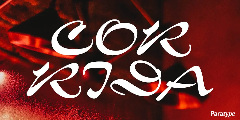 Corrida by ParaType — Script Handwritten Font