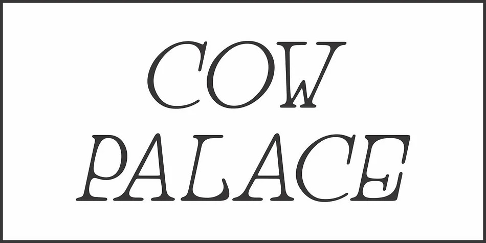 COW PALACE JNL by Jeff Levine Fonts — Decorative Font — thumbnail 2