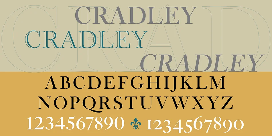 CRADLEY by CastleType — Dingbats Font — thumbnail 4
