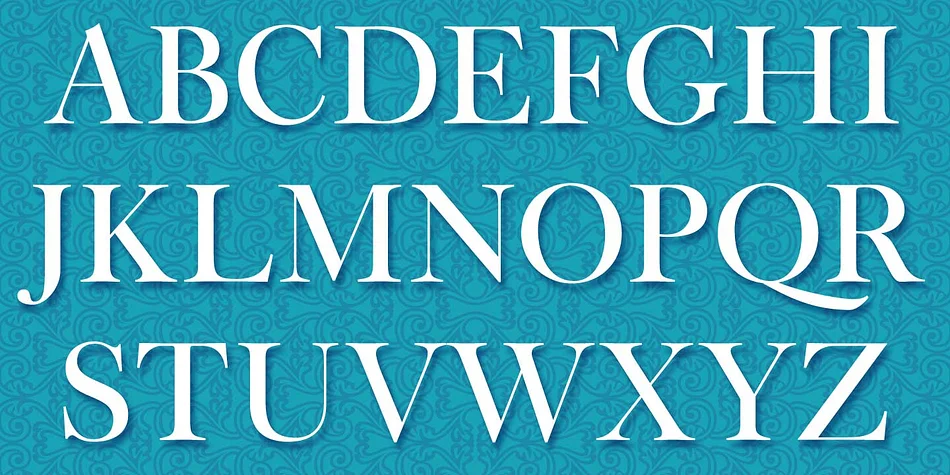 CRADLEY by CastleType — Dingbats Font — thumbnail 7