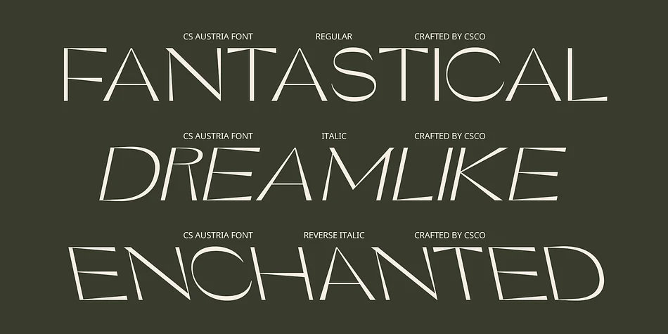 CS Austria by Craft Supply Co. — Display Font — thumbnail 4