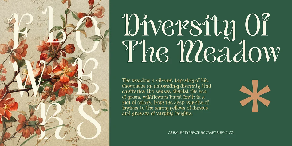 CS Bailey by Craft Supply Co. — Decorative Font — thumbnail 2