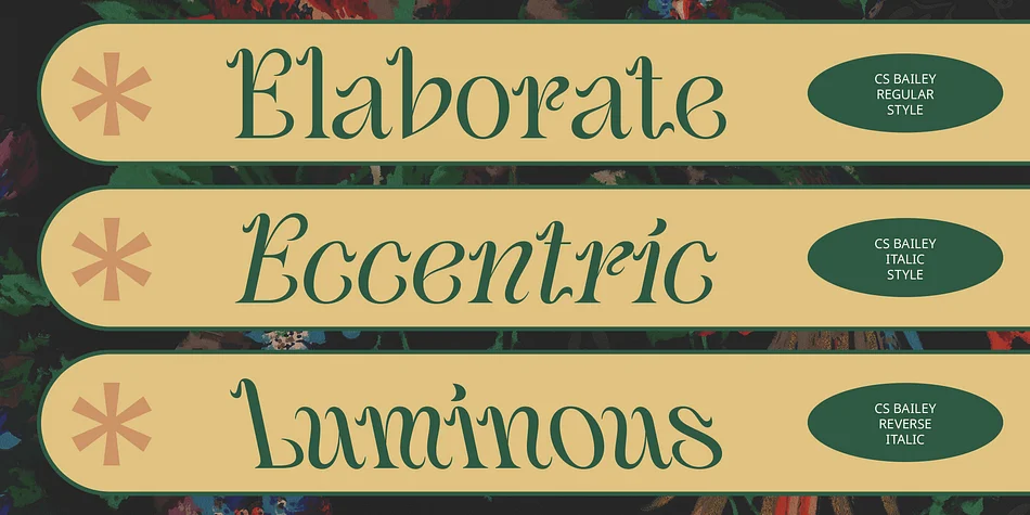CS Bailey by Craft Supply Co. — Decorative Font — thumbnail 3
