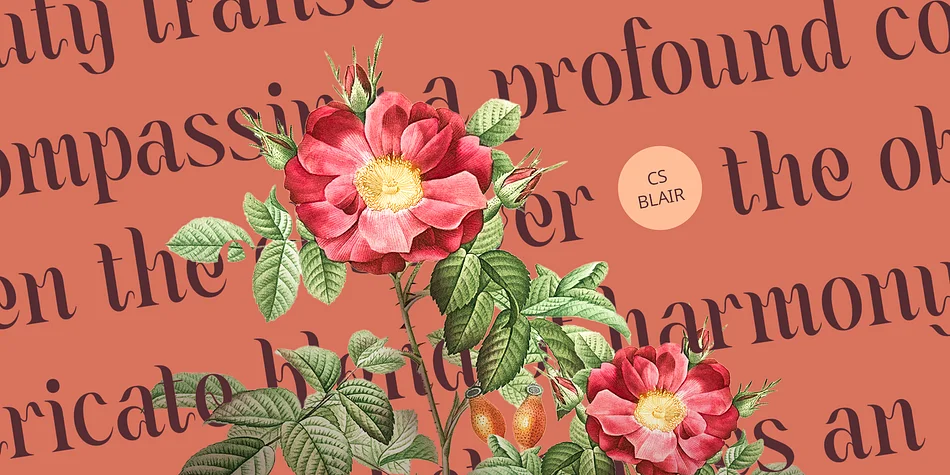 CS Blair by Craft Supply Co. — Decorative Font — thumbnail 2