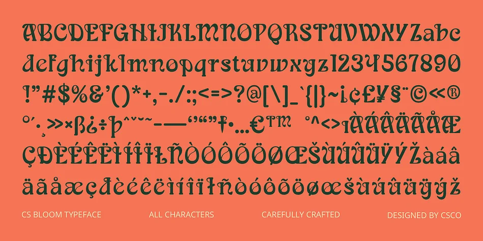 CS Bloom by Craft Supply Co. — Decorative Font — thumbnail 6