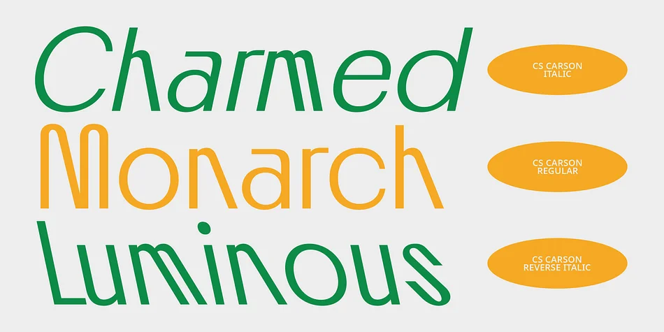 CS Carson by Craft Supply Co. — Decorative Font — thumbnail 3