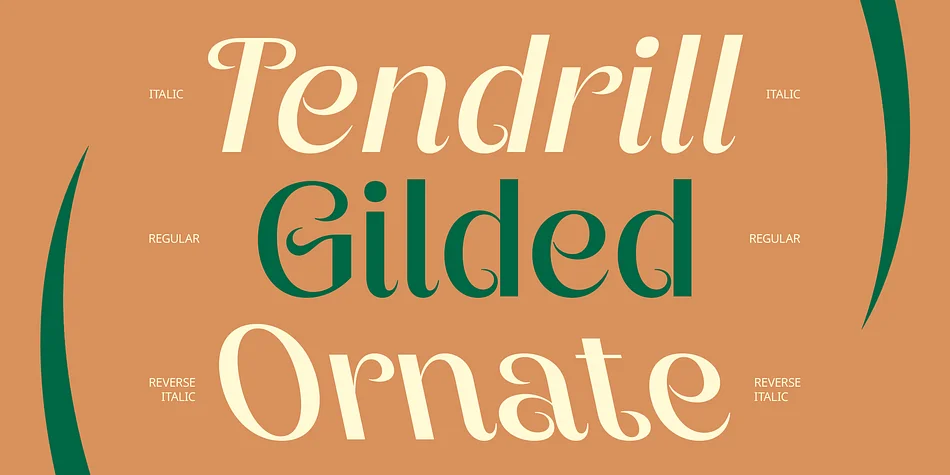 CS Celia by Craft Supply Co. — Decorative Font — thumbnail 2