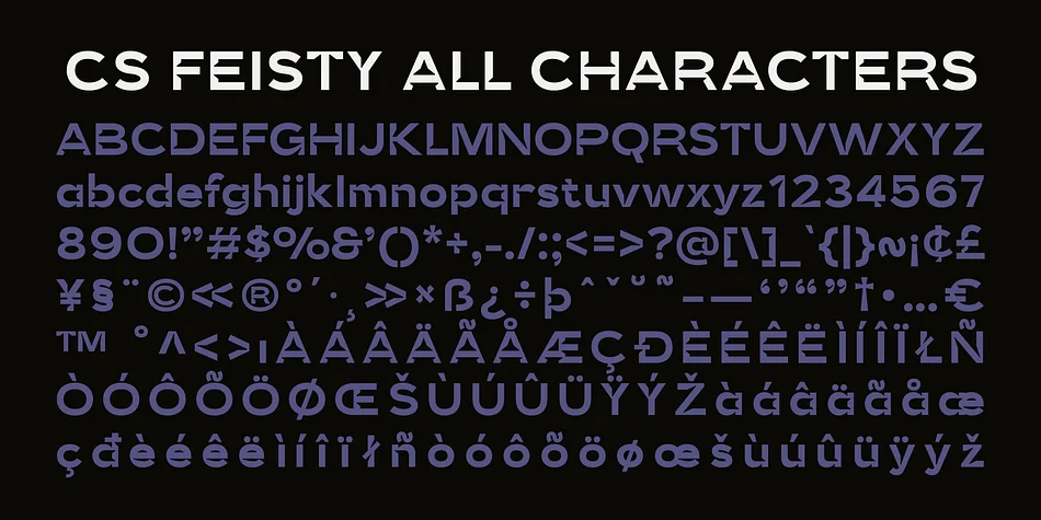 CS Feisty by Craft Supply Co. — Display Font — thumbnail 6