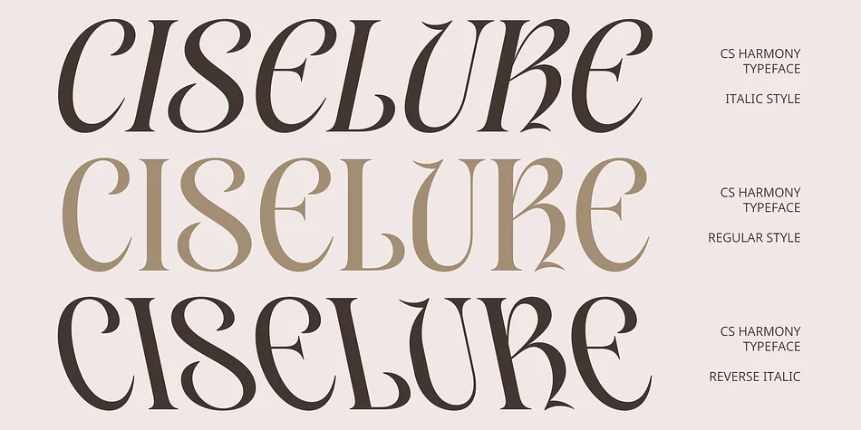 CS Harmony by Craft Supply Co. — Decorative Font — thumbnail 3