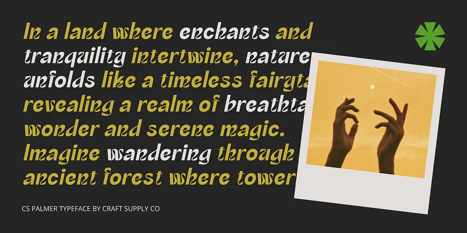 CS Palmer by Craft Supply Co. — Display Font — thumbnail 3