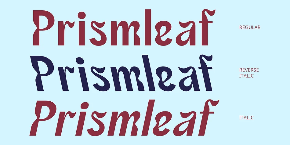 CS Roden by Craft Supply Co. — Display Font — thumbnail 2