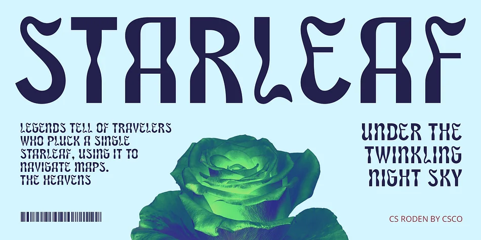 CS Roden by Craft Supply Co. — Display Font — thumbnail 4
