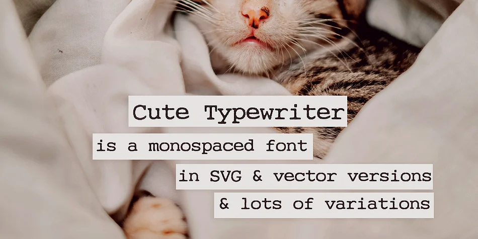 Cute Typewriter by Ana's Fonts β Decorative Font