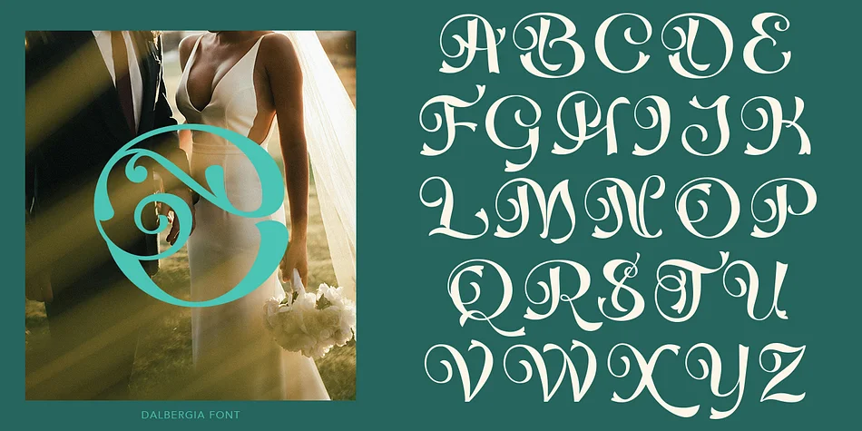 Dalbergia Script Font by TypeClassHeroes — Script Handwritten Font — thumbnail 3