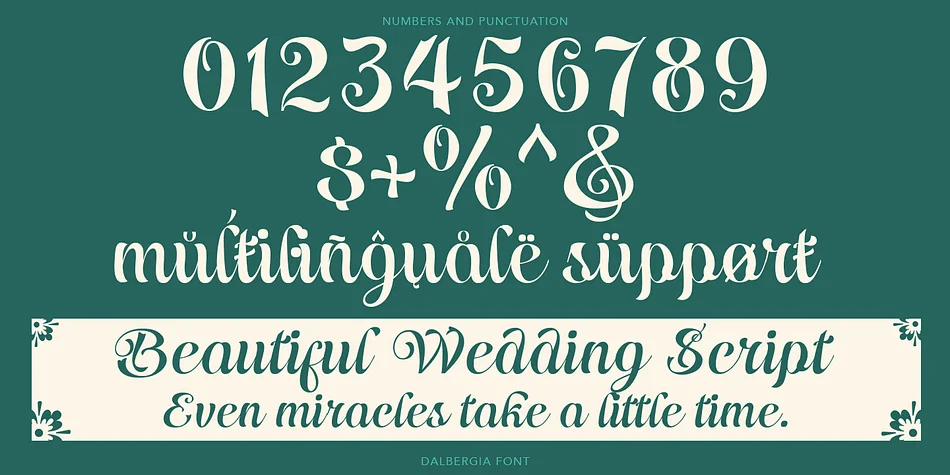 Dalbergia Script Font by TypeClassHeroes — Script Handwritten Font — thumbnail 8