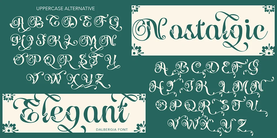 Dalbergia Script Font by TypeClassHeroes — Script Handwritten Font — thumbnail 9