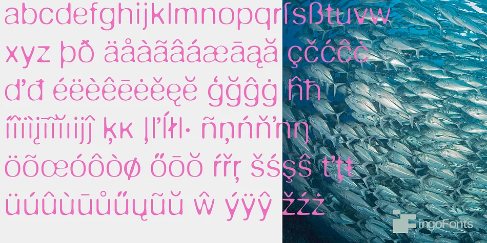 DeFonte Plus by ingoFonts — Display Font — thumbnail 7