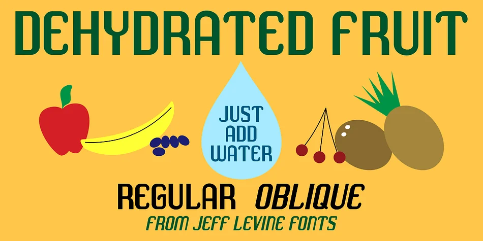 DEHYDRATED FRUIT JNL by Jeff Levine Fonts — Display Font