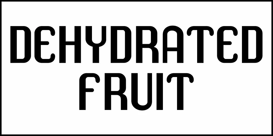 DEHYDRATED FRUIT JNL by Jeff Levine Fonts — Display Font — thumbnail 2