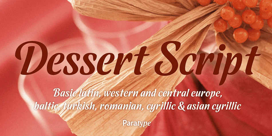 Dessert Script by ParaType — Script Handwritten Font
