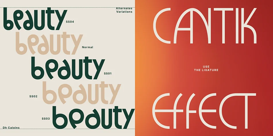 Dh Caloins by Dharmas Studio — Display Font — thumbnail 5