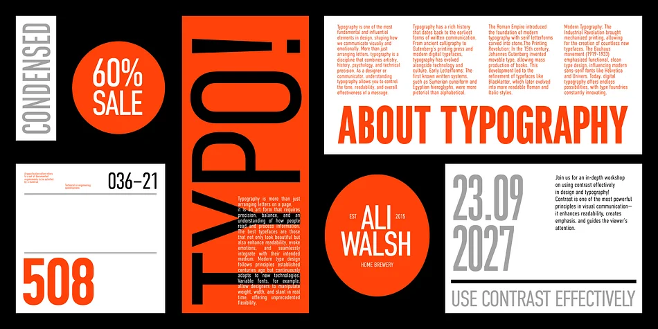 DIN Condensed by ParaType — Display Font — thumbnail 10