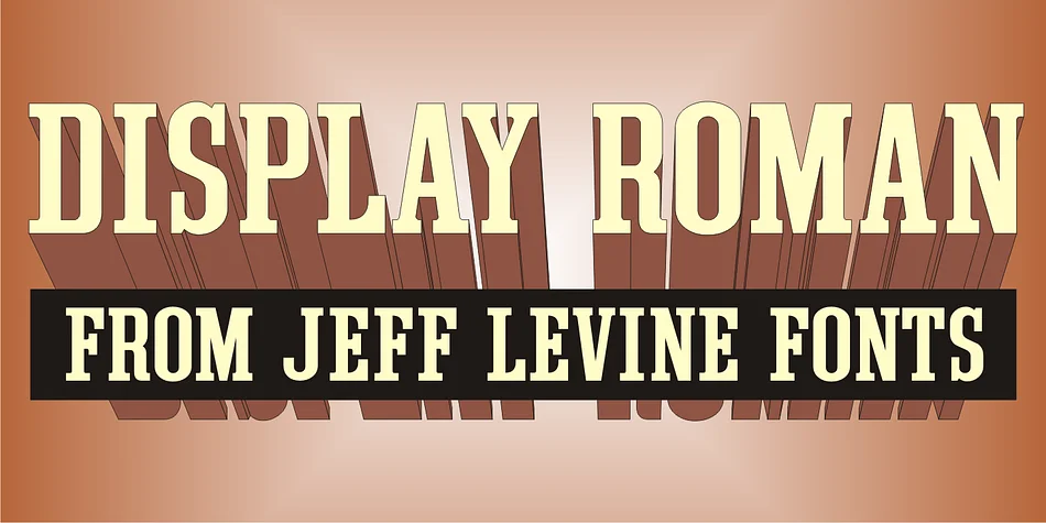 DISPLAY ROMAN JNL by Jeff Levine Fonts — Decorative Font