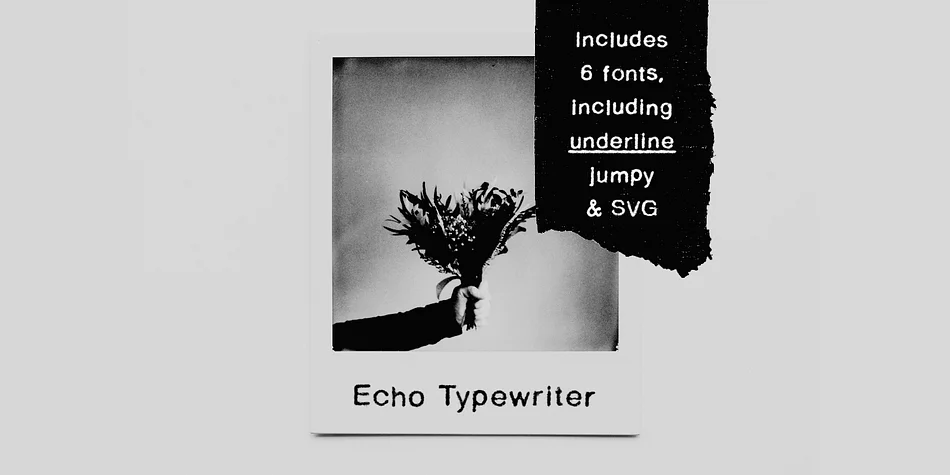 Echo Typewriter by Ana's Fonts β Decorative Font